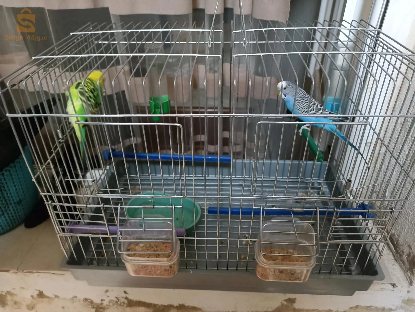 بيريش ءكر وانتى