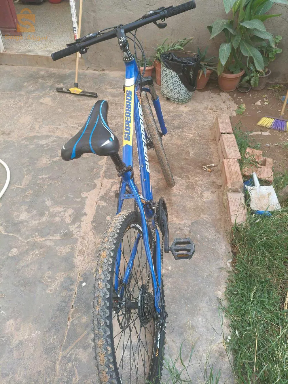 "velo  26