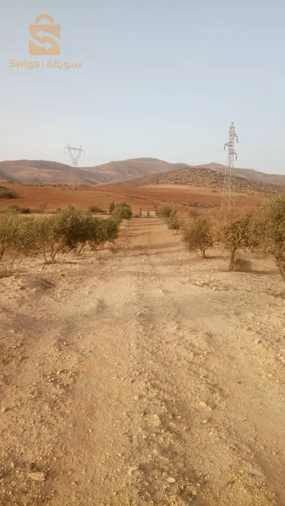 Agricultural land suitable for construction, agriculture, or restoration with a real estate booklet
