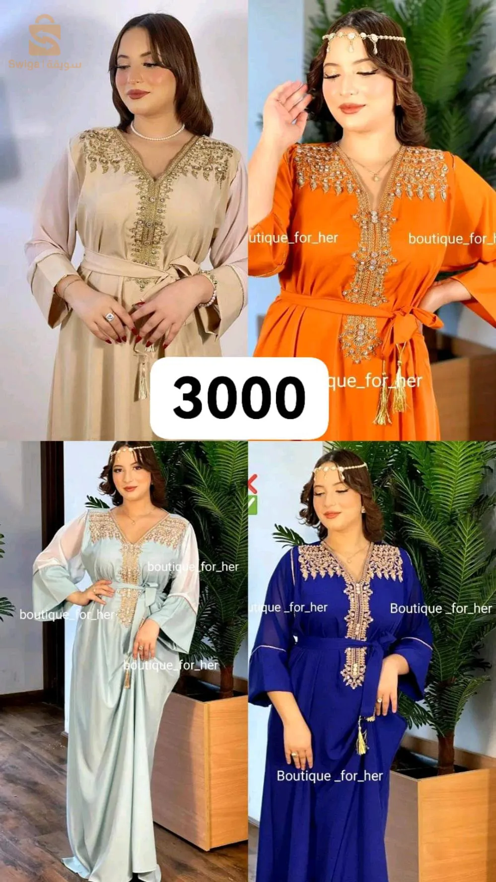 تيسمسيلت التوصيل لجميع الولايات