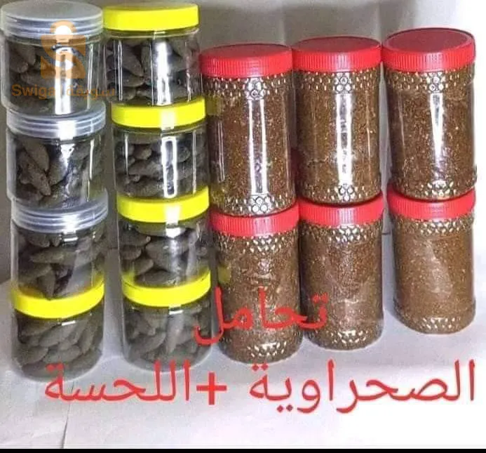 تلمسان الرمشي