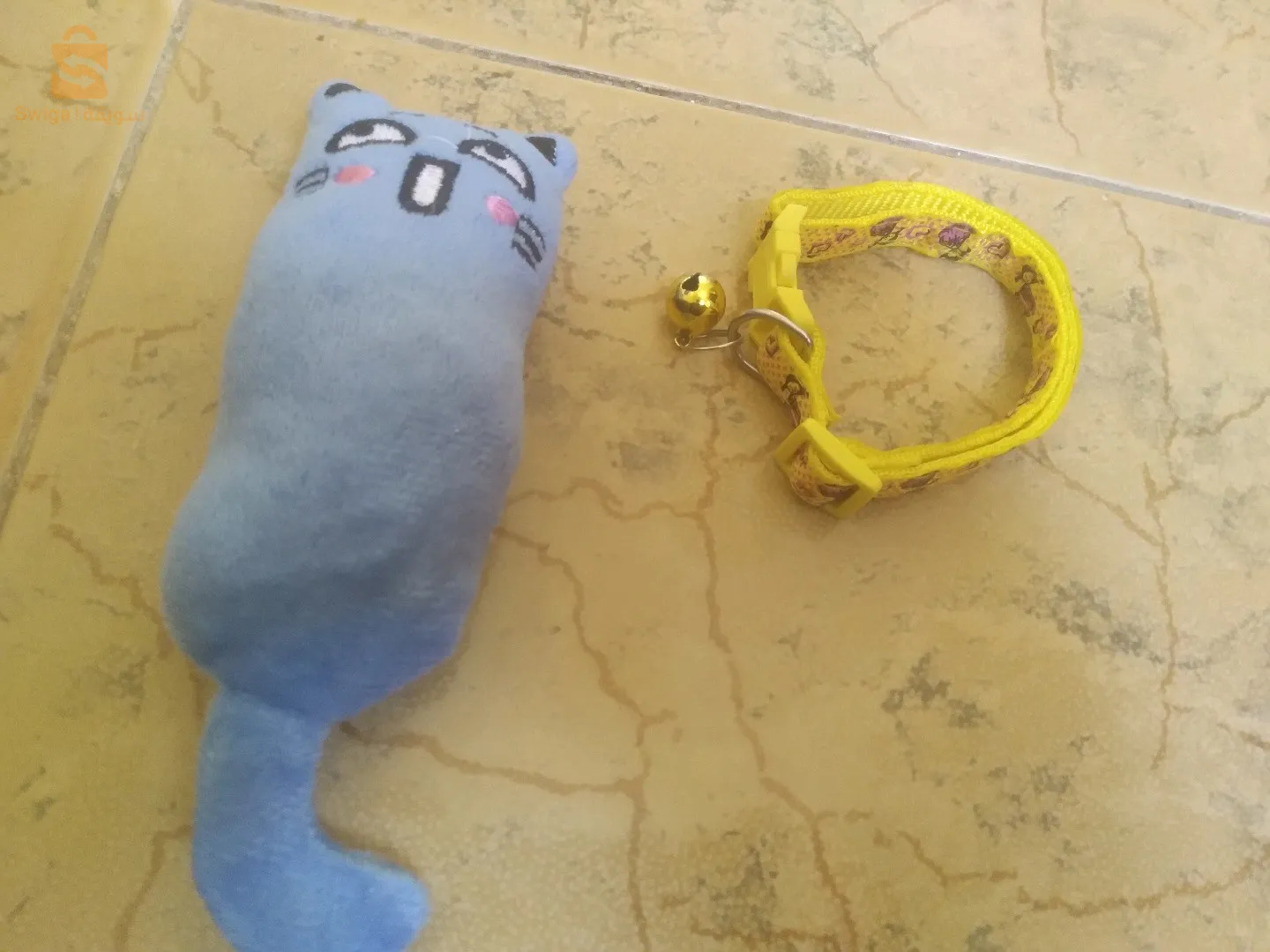 سوار قطط و لعبة
