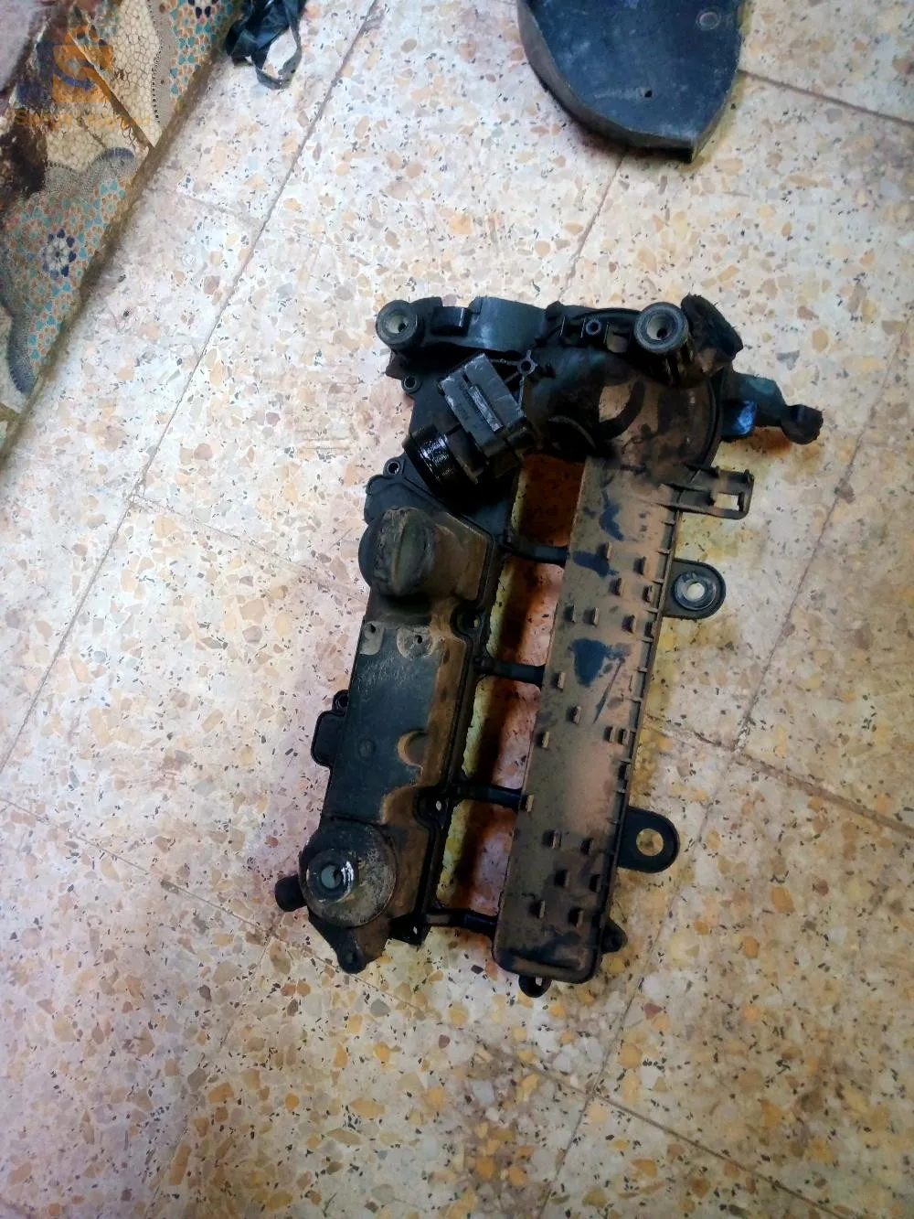 شفة البليدة