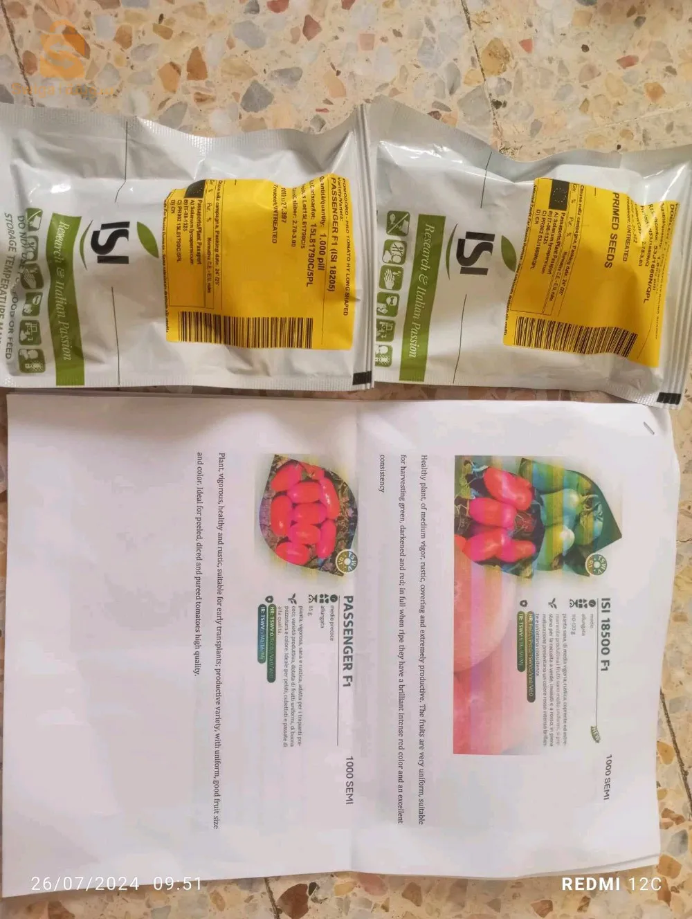 بذور طماطم عالية الجودة و ذات مردود وفير و بشتى الانواع