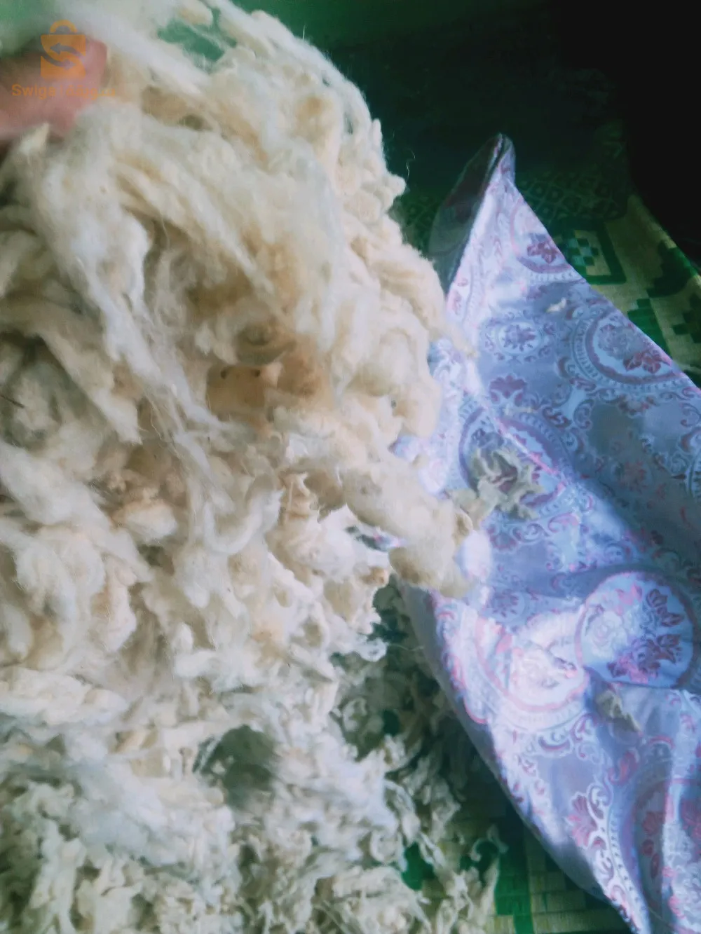 باتنة بوعقال 3 بلاد زدام وين الطريق الجديدة كيما عيادة غسيري وخماري 0671887690