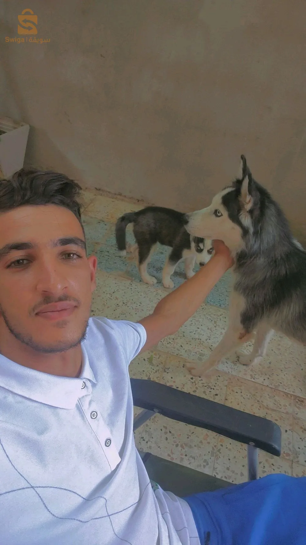 فمالة هاسكي بيها بنتها هجا مليحا 
0662187483