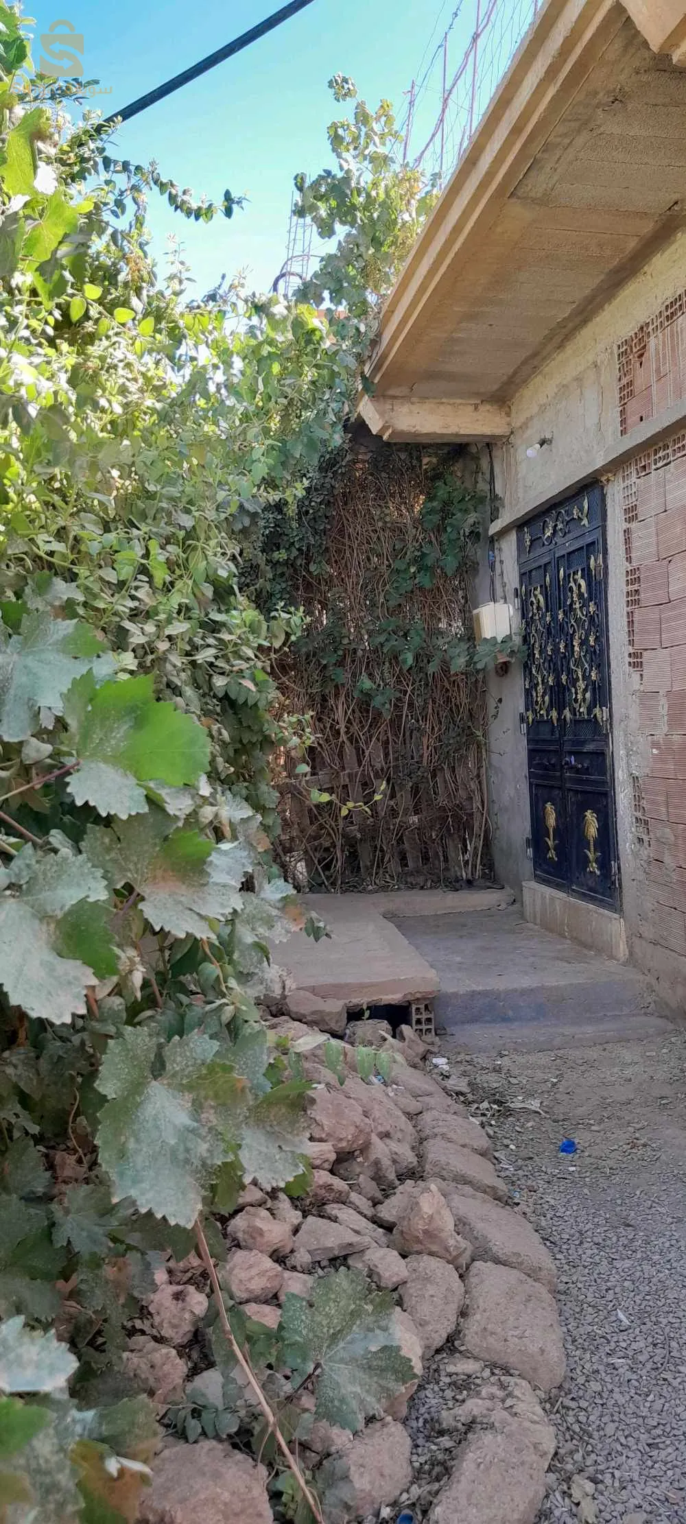 عبد الرحيم