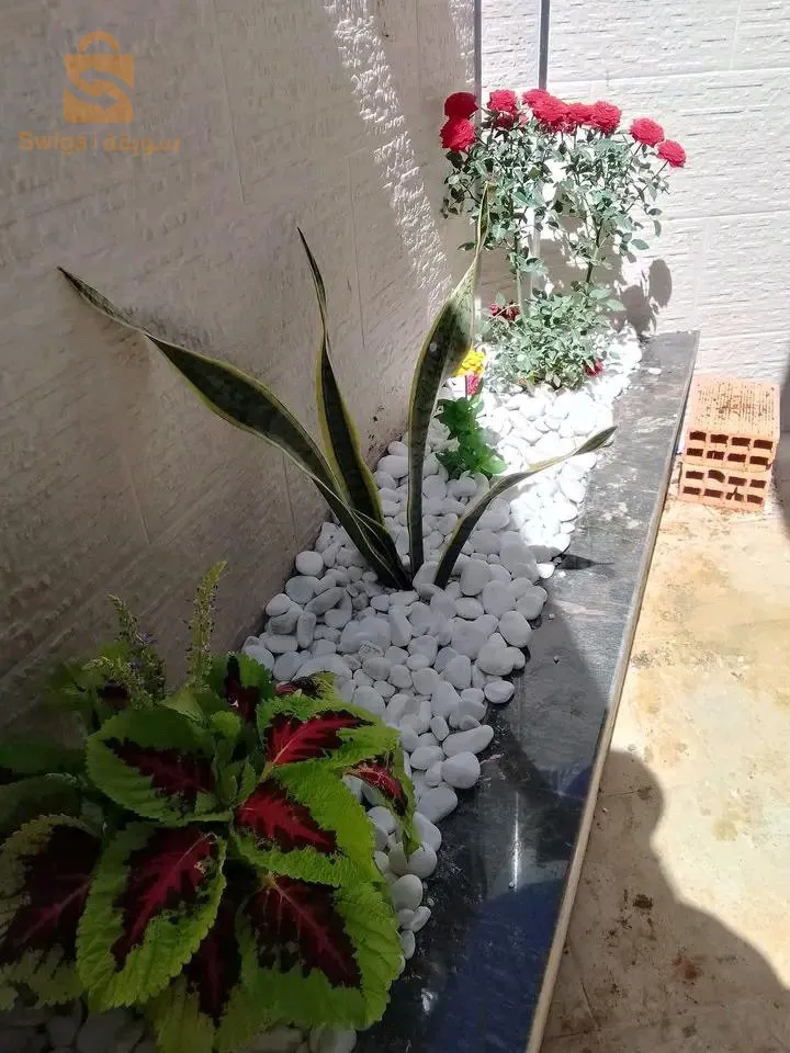 تهيئة و تزيين الحدائق و المساحات الخضراء