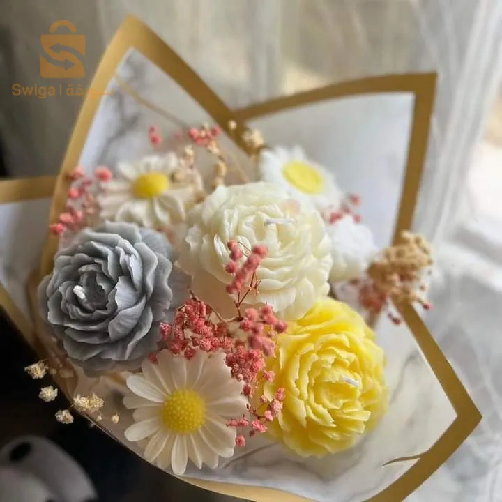 الشراقة الجزائر