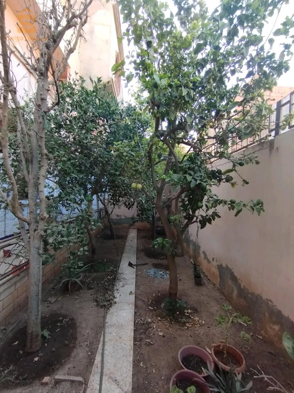 bir el djir milinoum