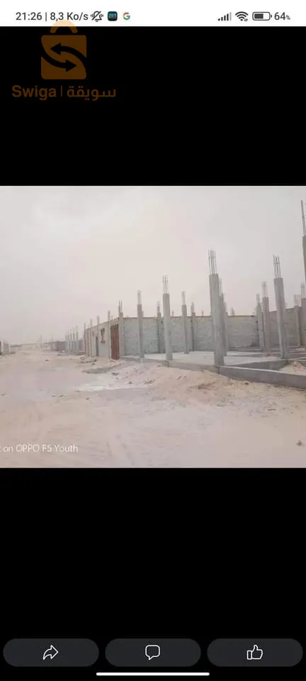 المغير حي شناوة