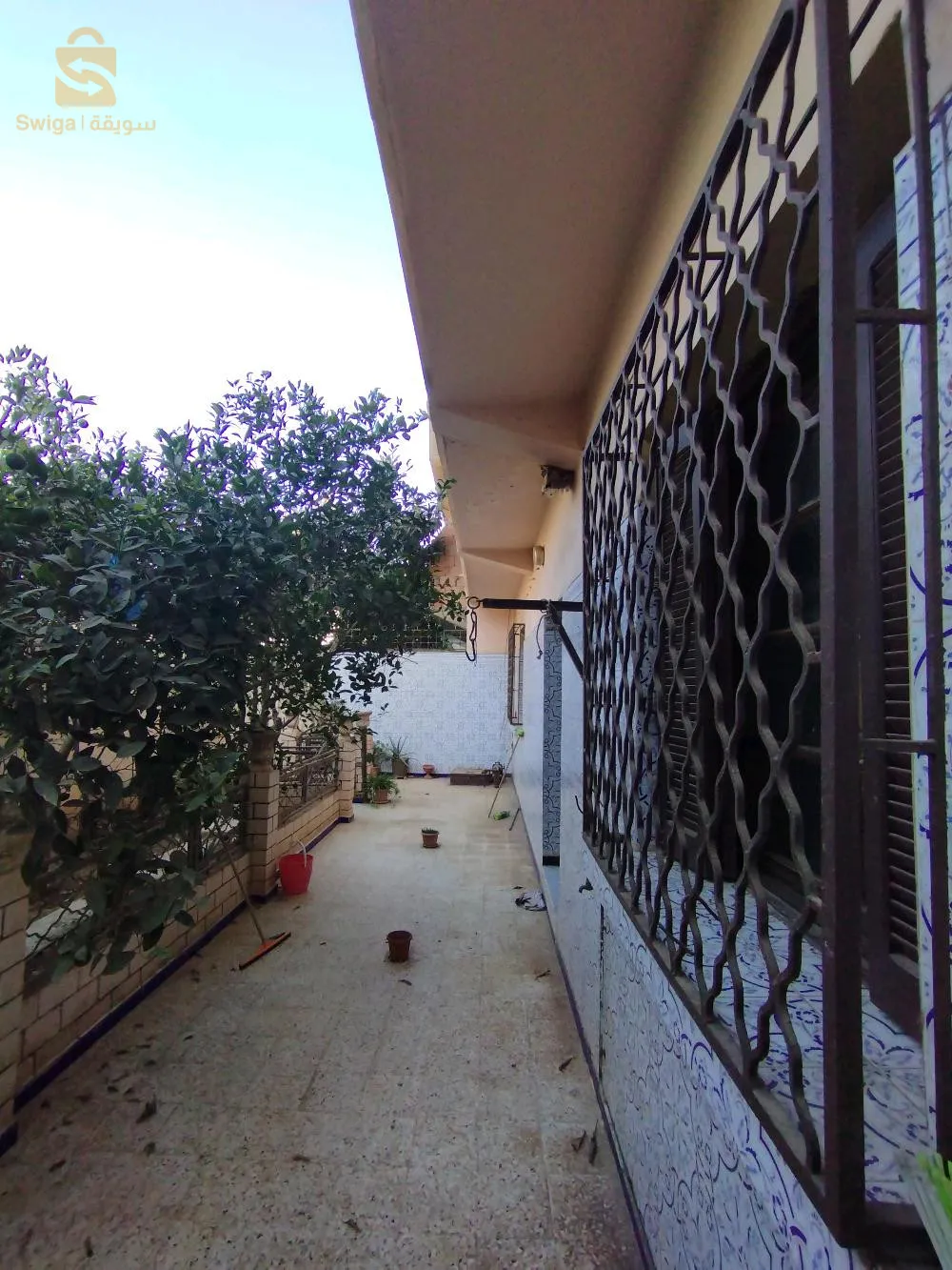 bir el djir milinoum