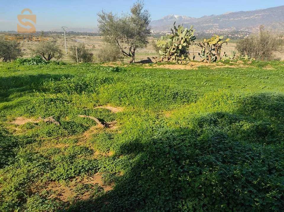 قطعة ارض للبيع الوثائق عقد ملكية فيها الغاز الكهرباء الماء منطقة سكانية افتيس بوعزيز بلدية بوجليل مهتم يتفضل 0558464955