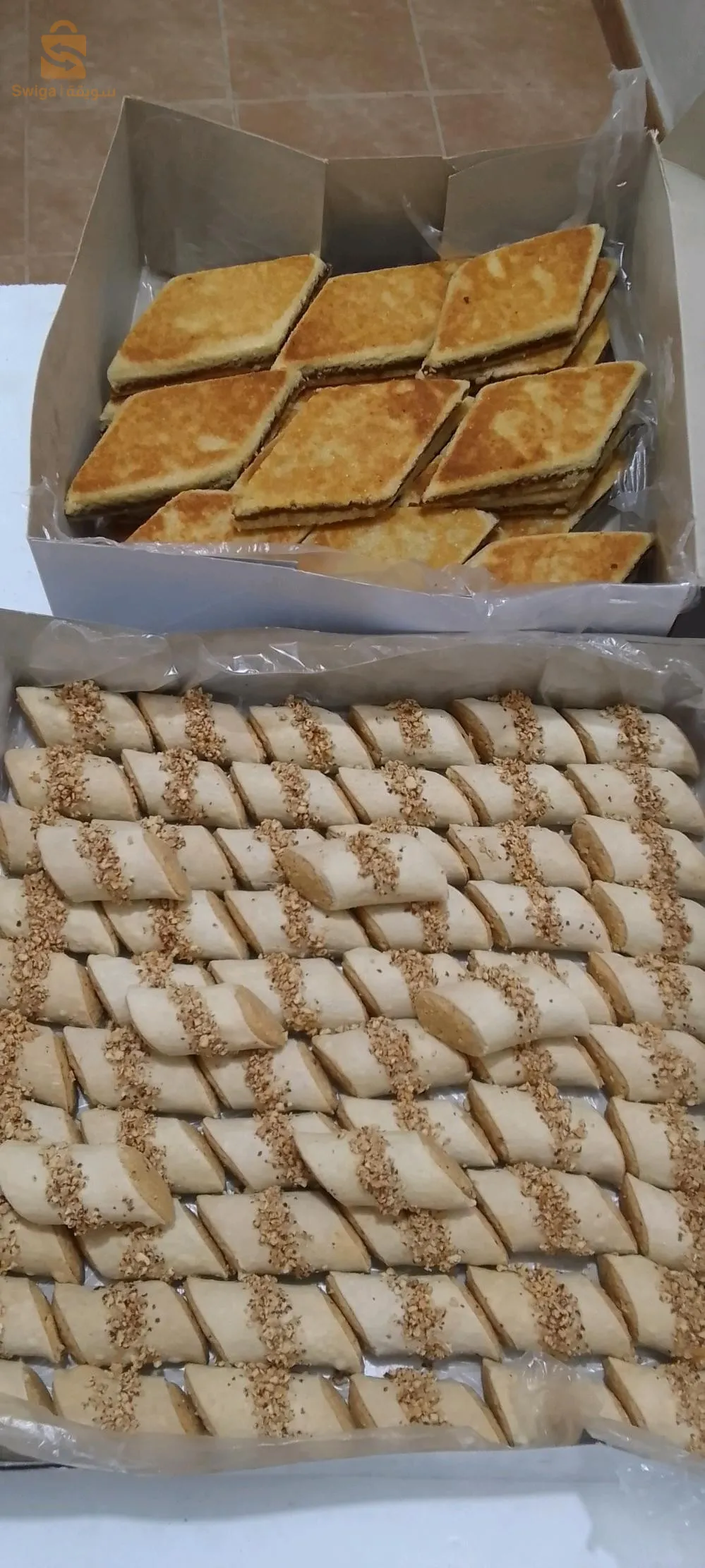 Massinissa elkhroub Constantine