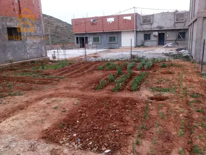 سيدي بوجنان تلمسان