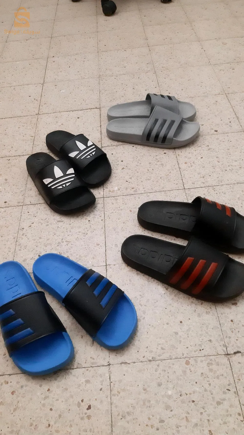 بليغة سوما شابة متوفرة المقياس