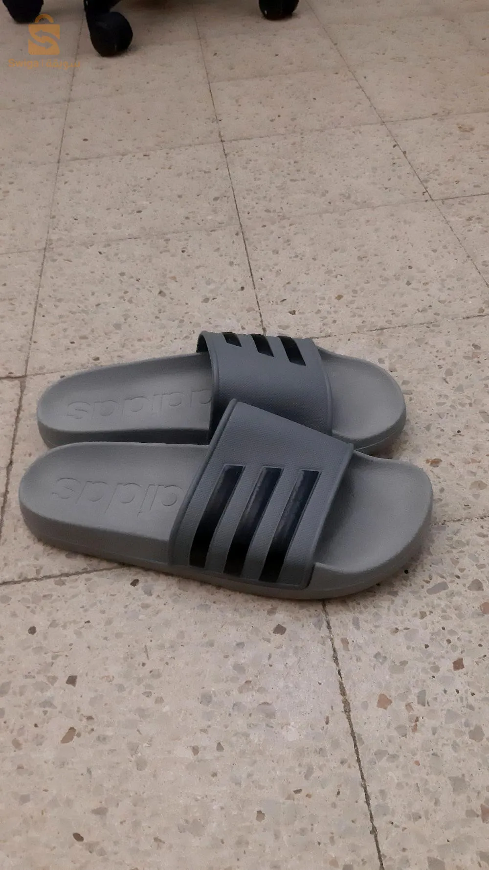 بليغة سوما شابة متوفرة المقياس