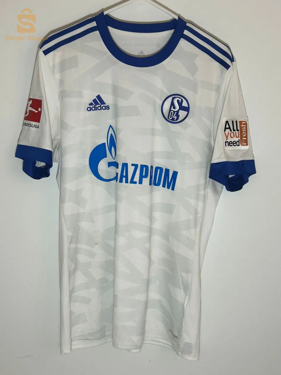 Schalke 2016/2017