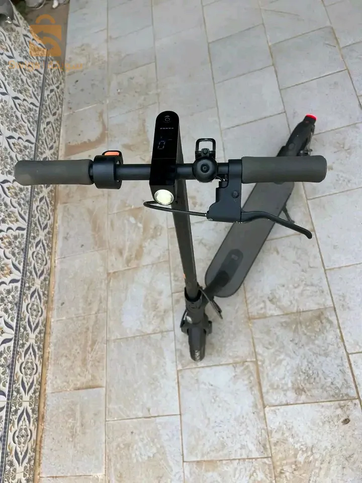 كولش ريقلو