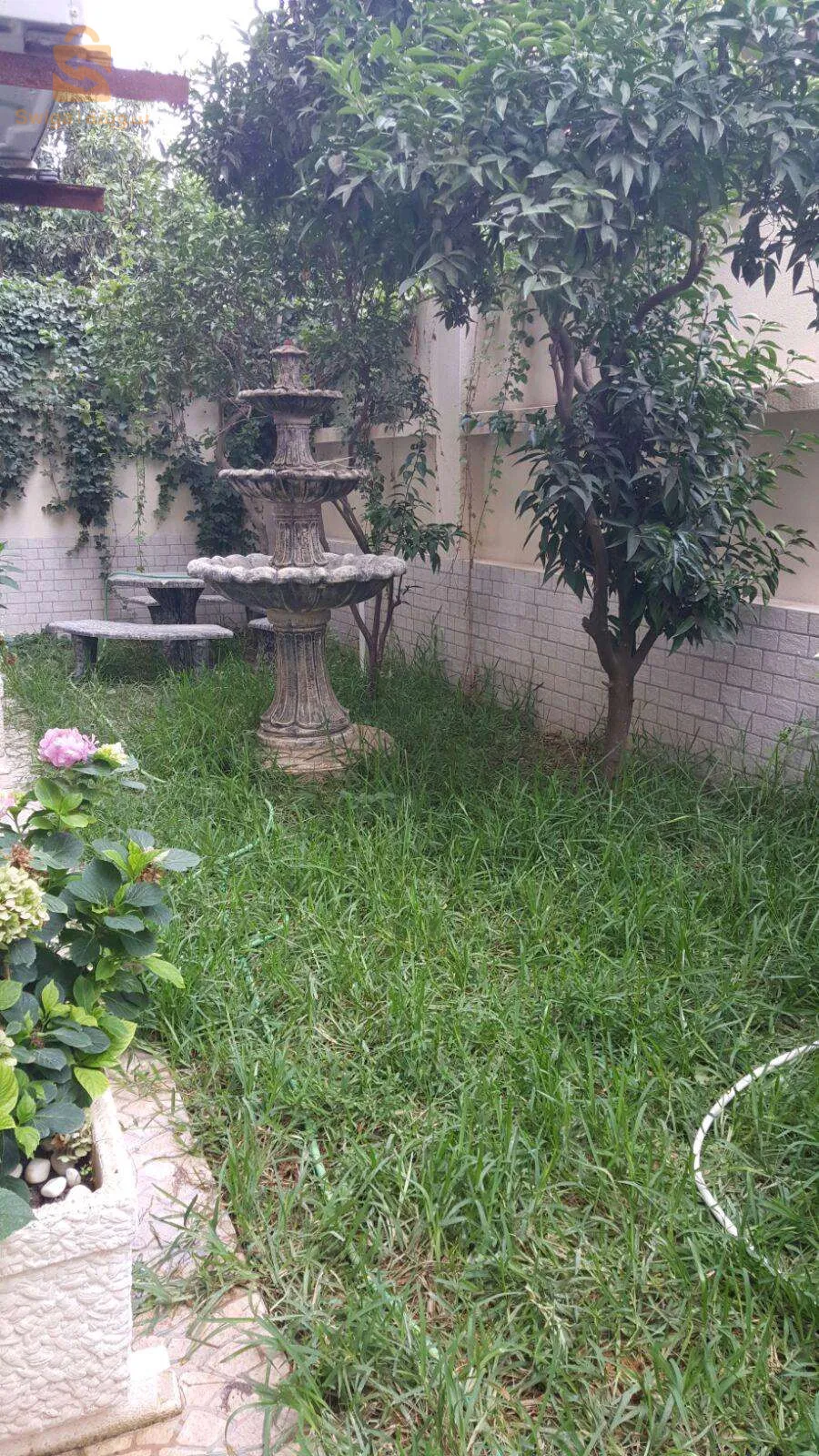 صالون حلاقة