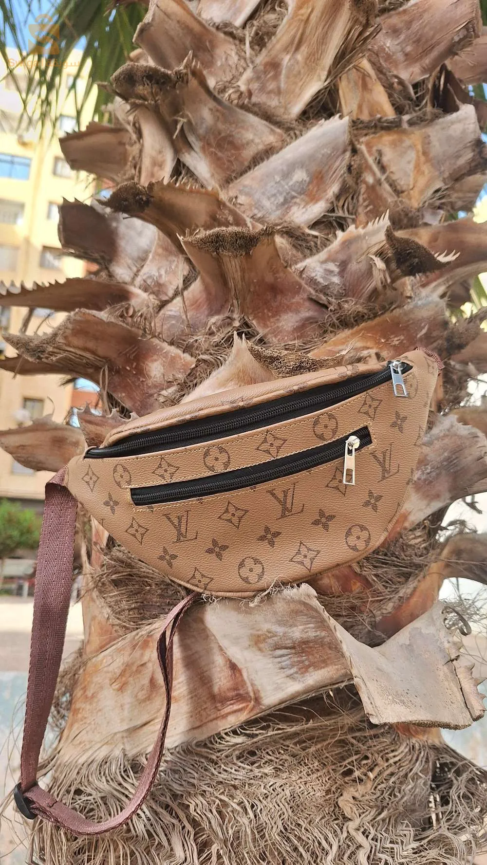 حقائب جملة