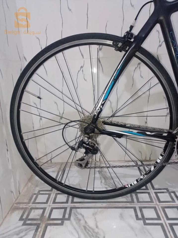 فيلو كورس كاربون