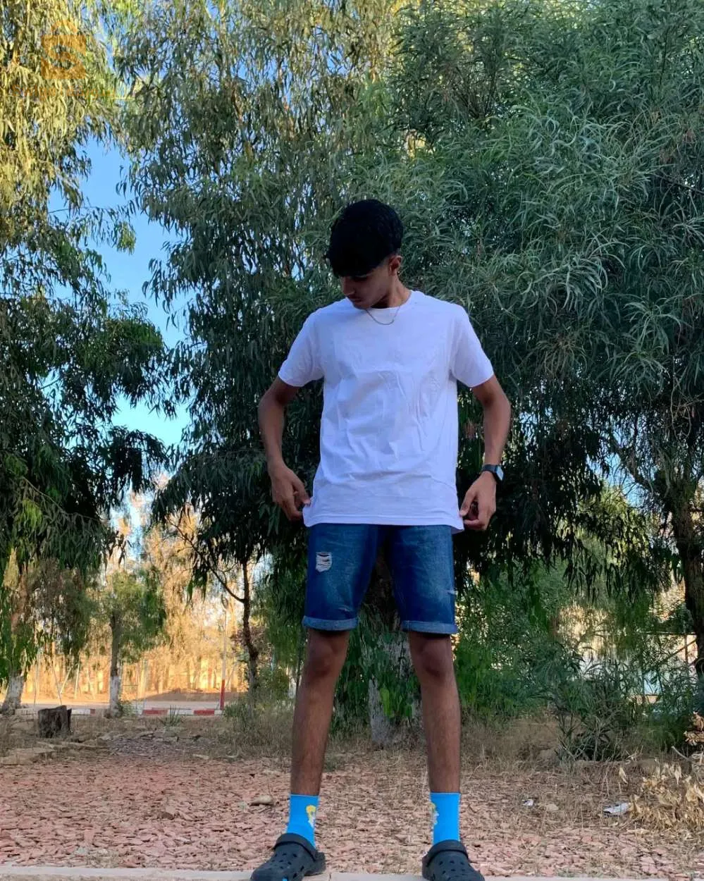 t-shirt sempl