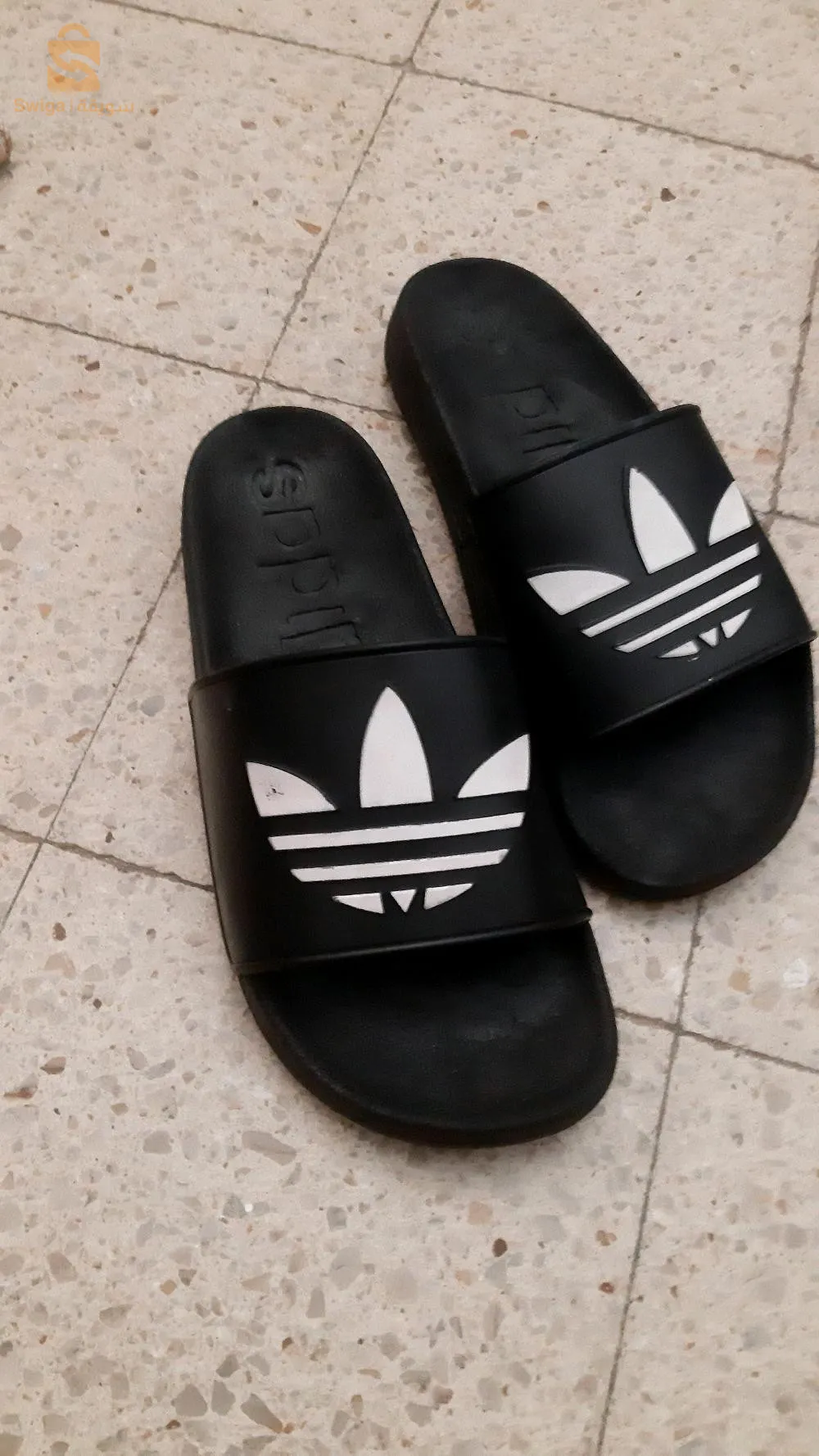 بليغة سوما شابة متوفرة المقياس