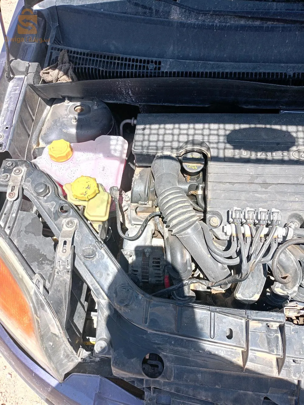 bir elater welaya de tebessa