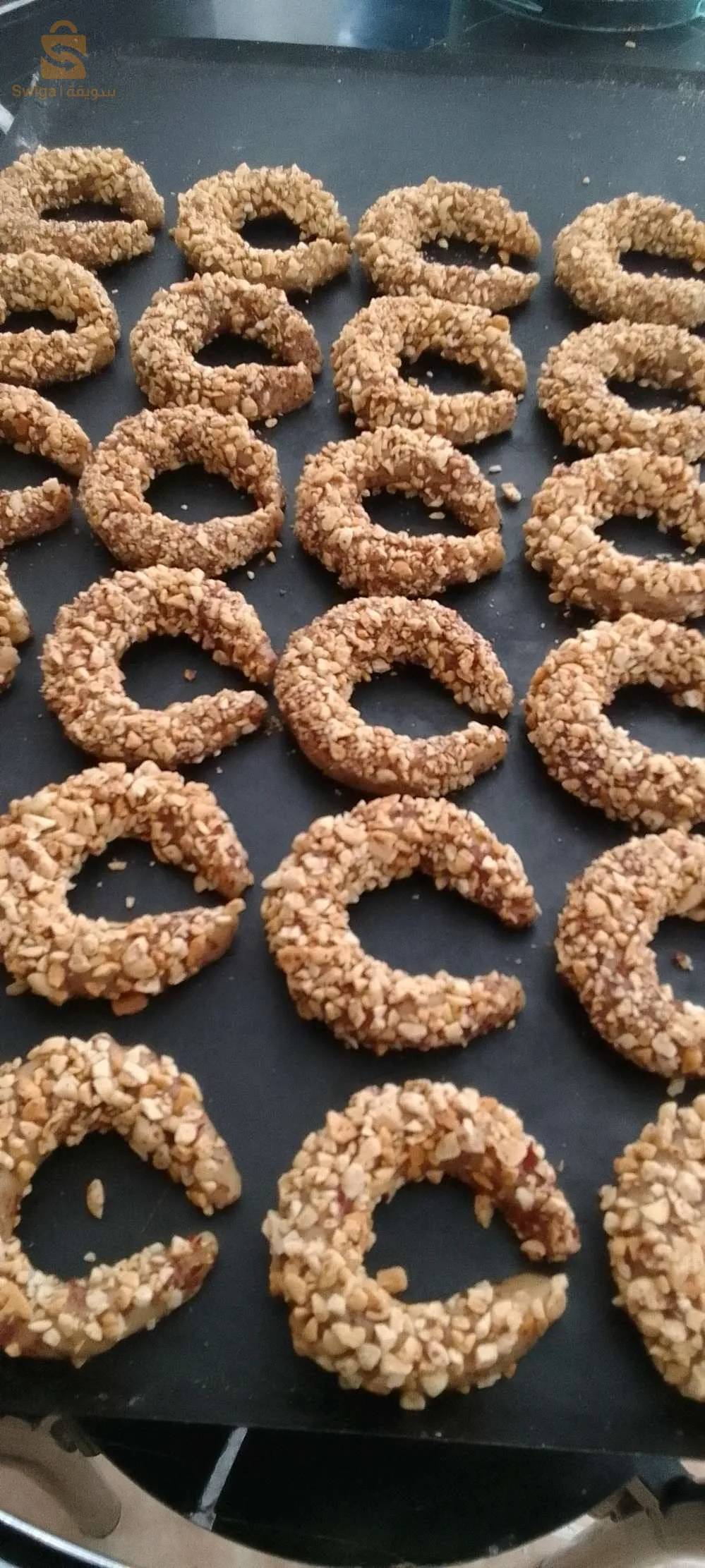 Massinissa elkhroub constantine