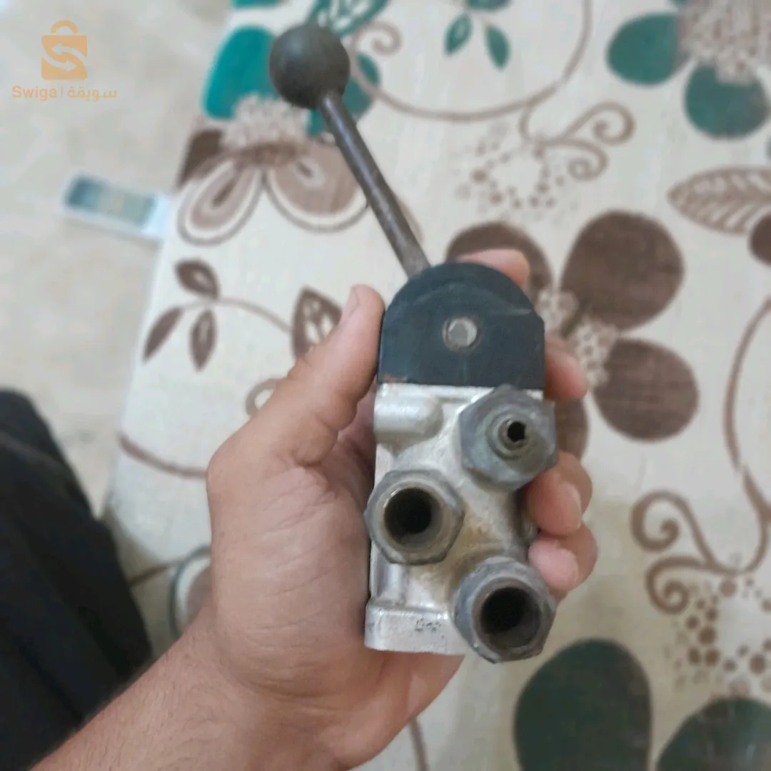 فران سوكور