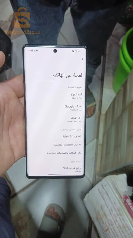 عين دفلى