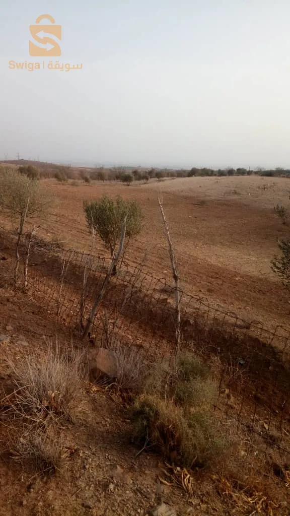 Agricultural land suitable for construction, agriculture, or restoration with a real estate booklet