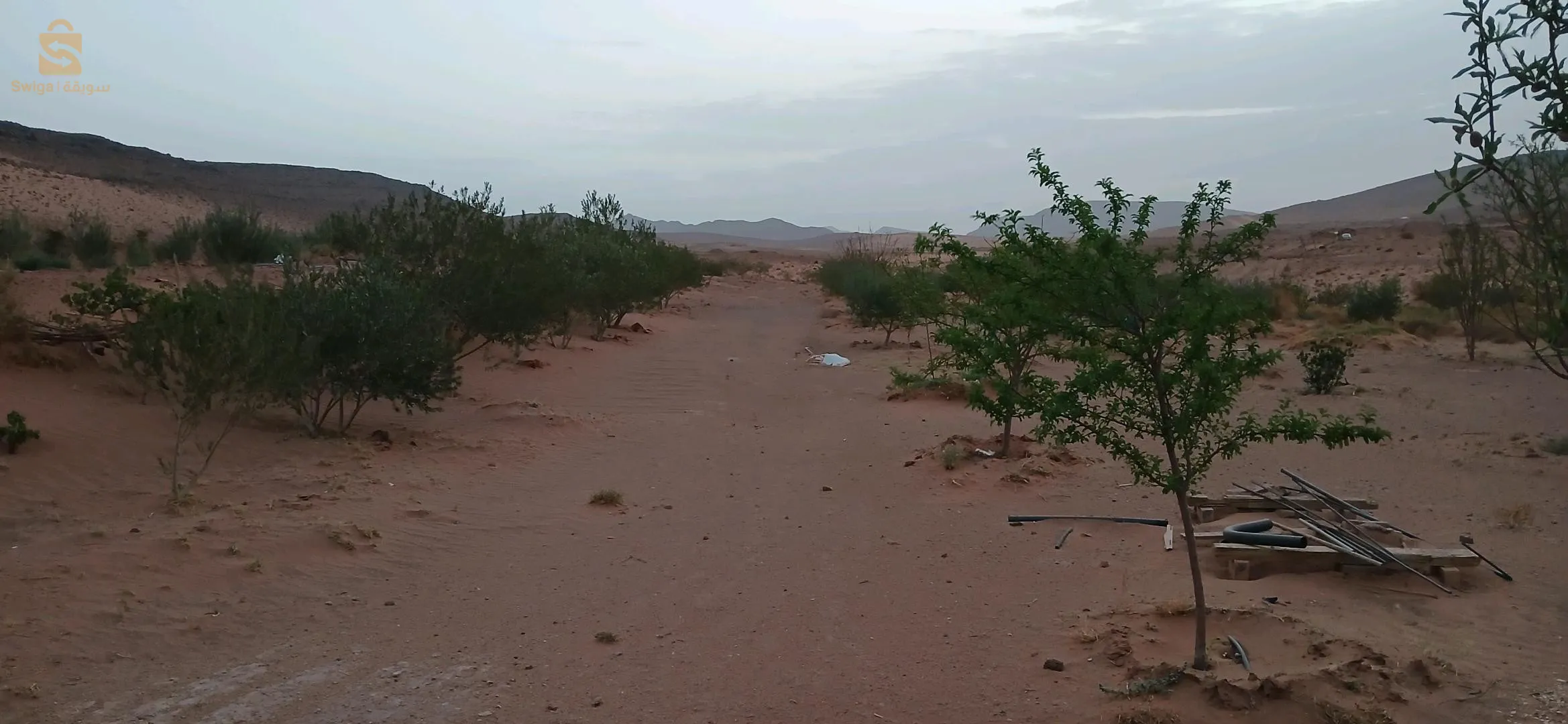 2 هكتار قابلة للزيادة