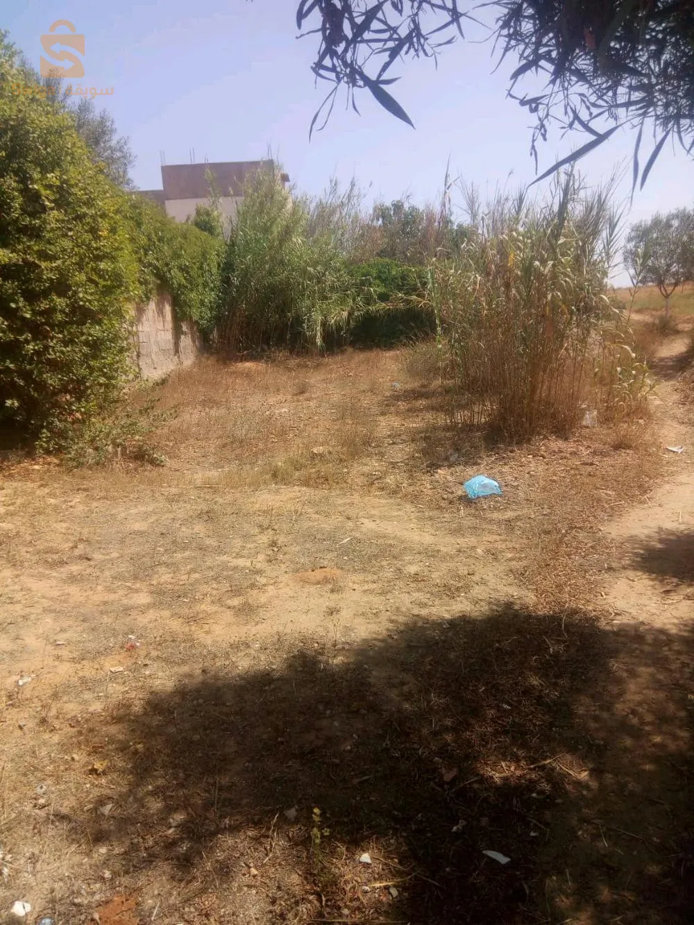 à vendre