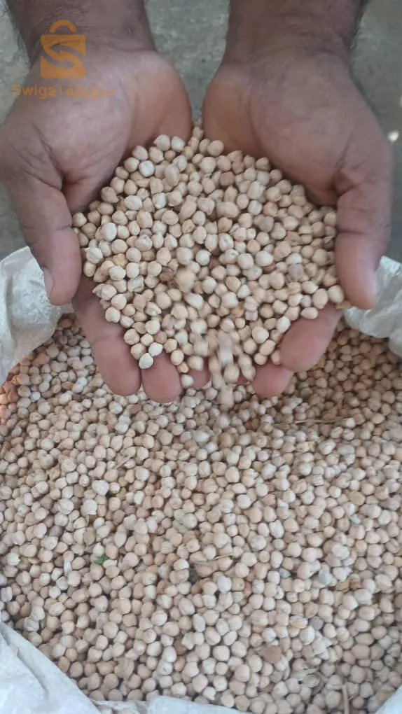 حمص 9 جديد صافي