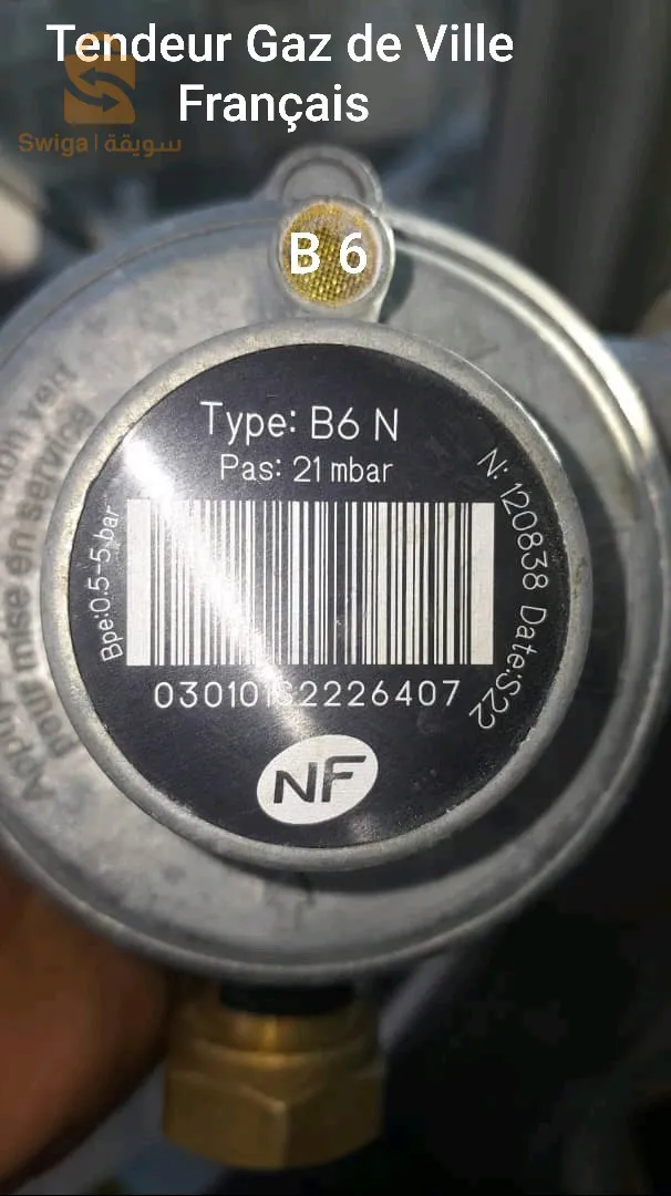 Tendeur Gaz de Ville Français B6 Homologué Sonelgaz