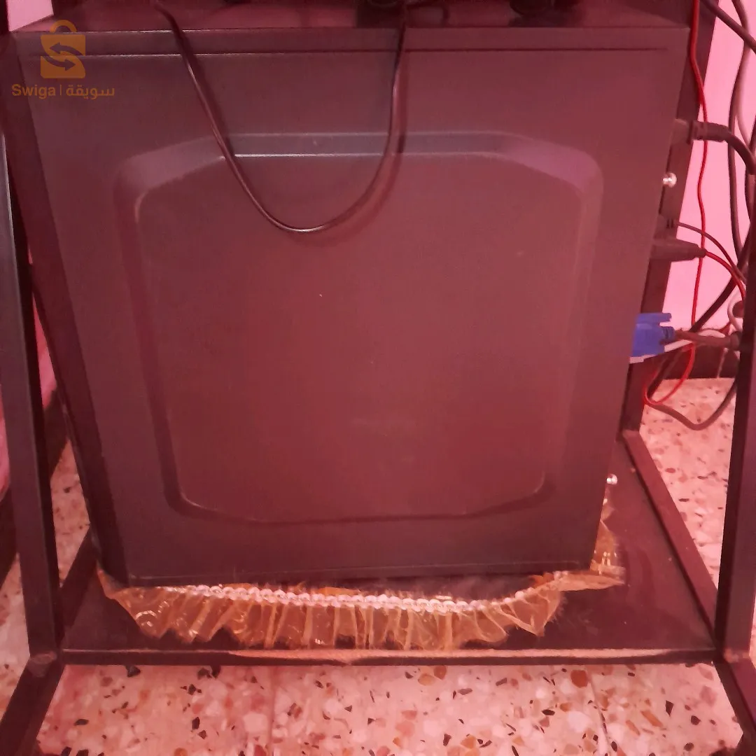 بيسي شباب للبيع