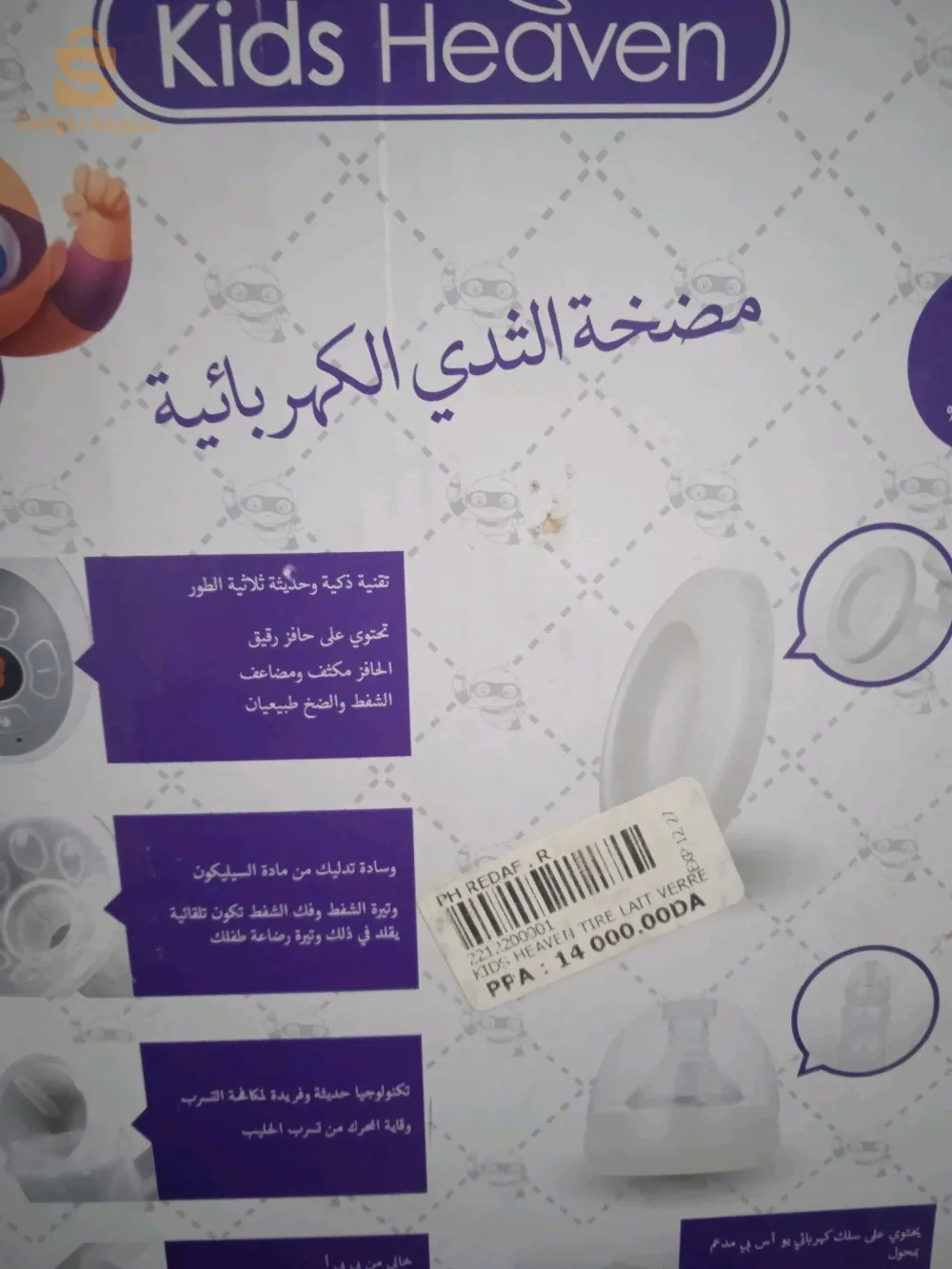 أحمر العين تيبازة