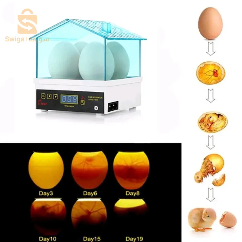 Bird egg incubator