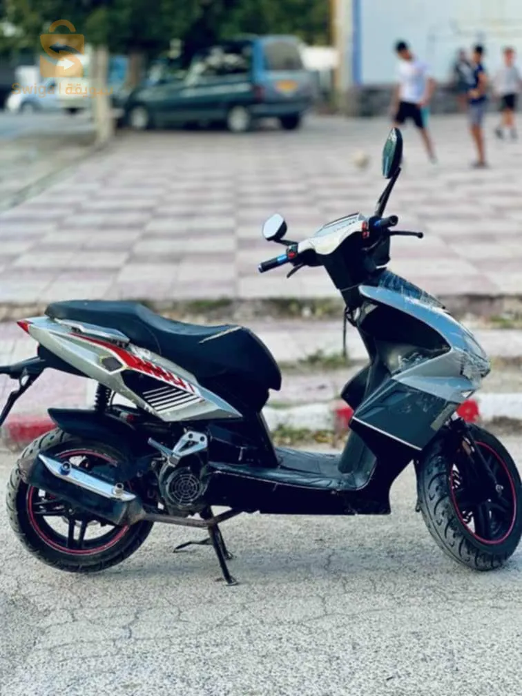 ام البواقي