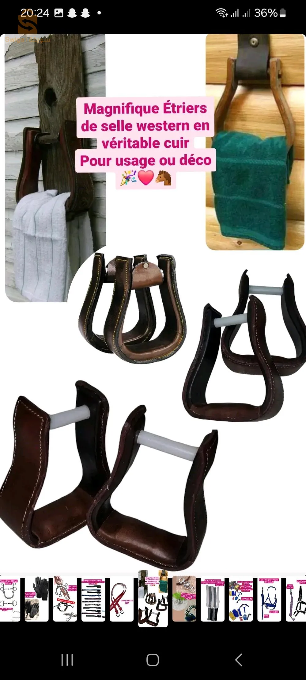 horses