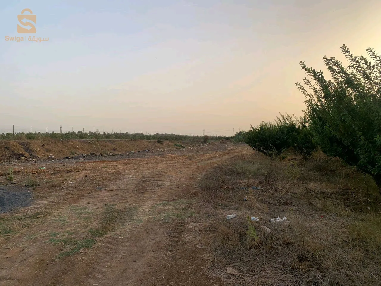مزرعة فلاحية نموذجية بولاية تيبازة للبيع