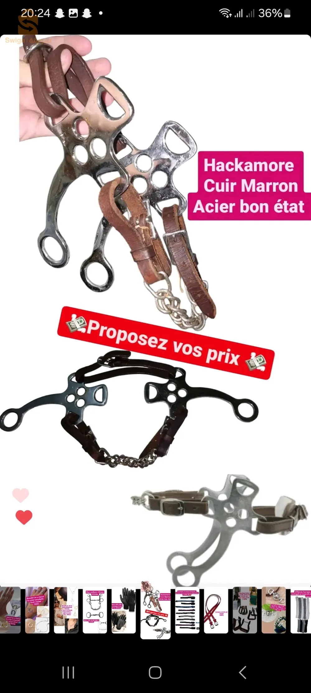 horse equipments