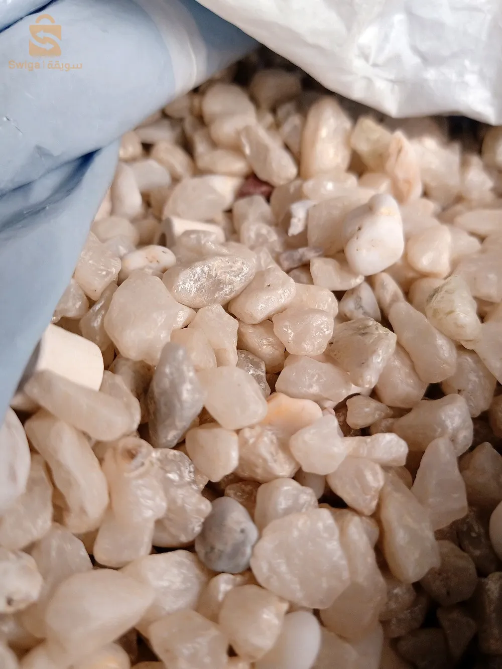 حوض سمك