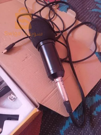 ميكرفون صوتي