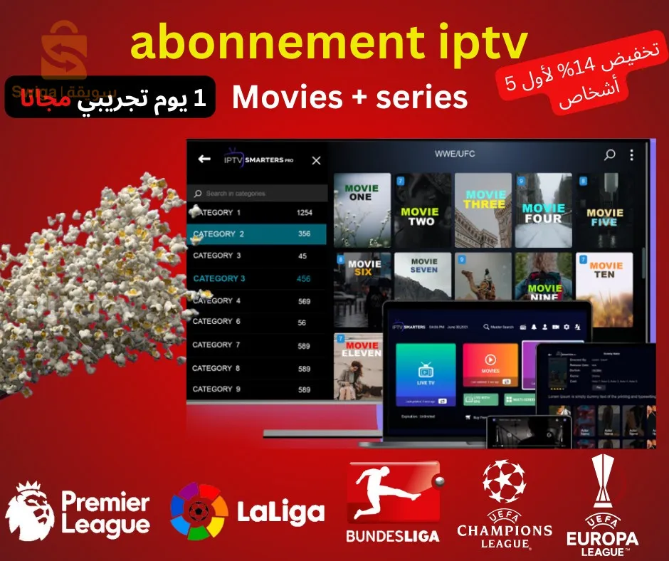 iptv + netflix + bien sport ...