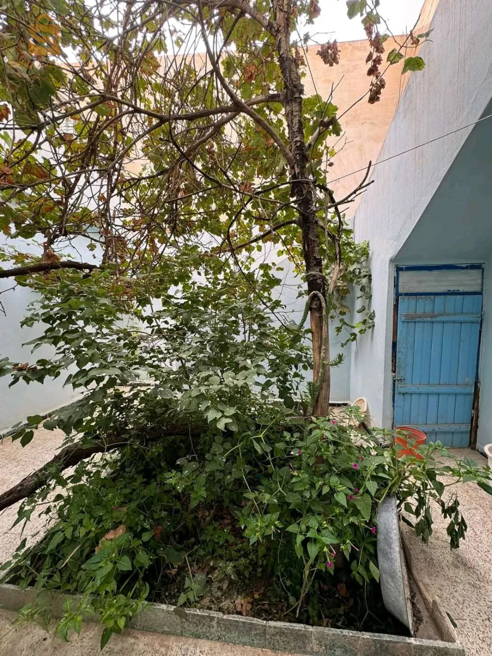 حي الزاوية بجانب مسجد سعدي الصديق