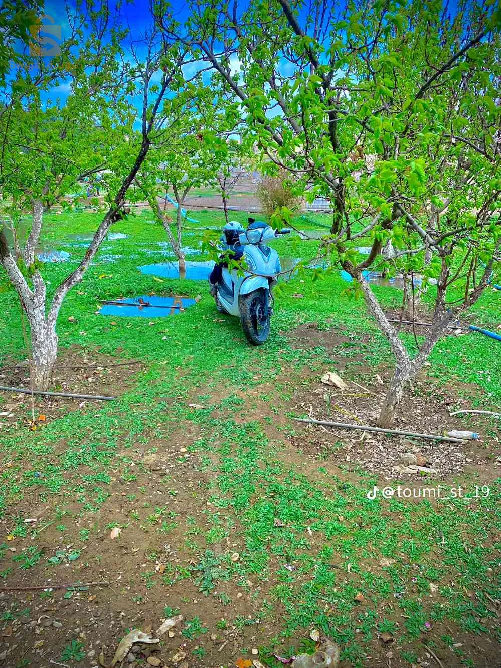 سطيف (بيع دراجة sym st)
