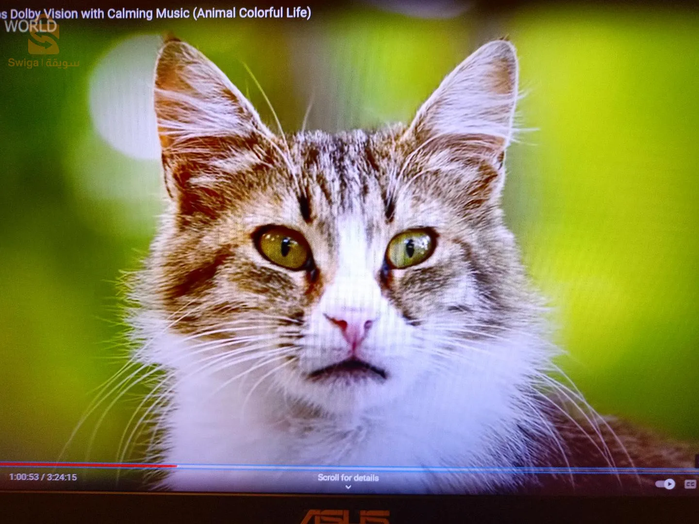 Laptop ASUS i5-7th-hQ 
Ram 8 GB 
Disk dure 512 ssd samsung
Double carte grafique Intel + GTX1050 VRM 4 GB 
Clavier AZRTY Lumenux 💡💡
DVD RW 💽
Ecran FHD (1920 ×1080) 
Battery🔋🔋2h+
Chargeur original Asus 
Laptop 💻💻 etude, disigne, jeux .